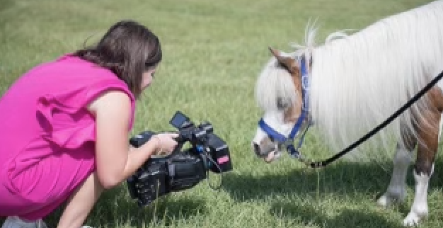 Sydney gets footage of a pony